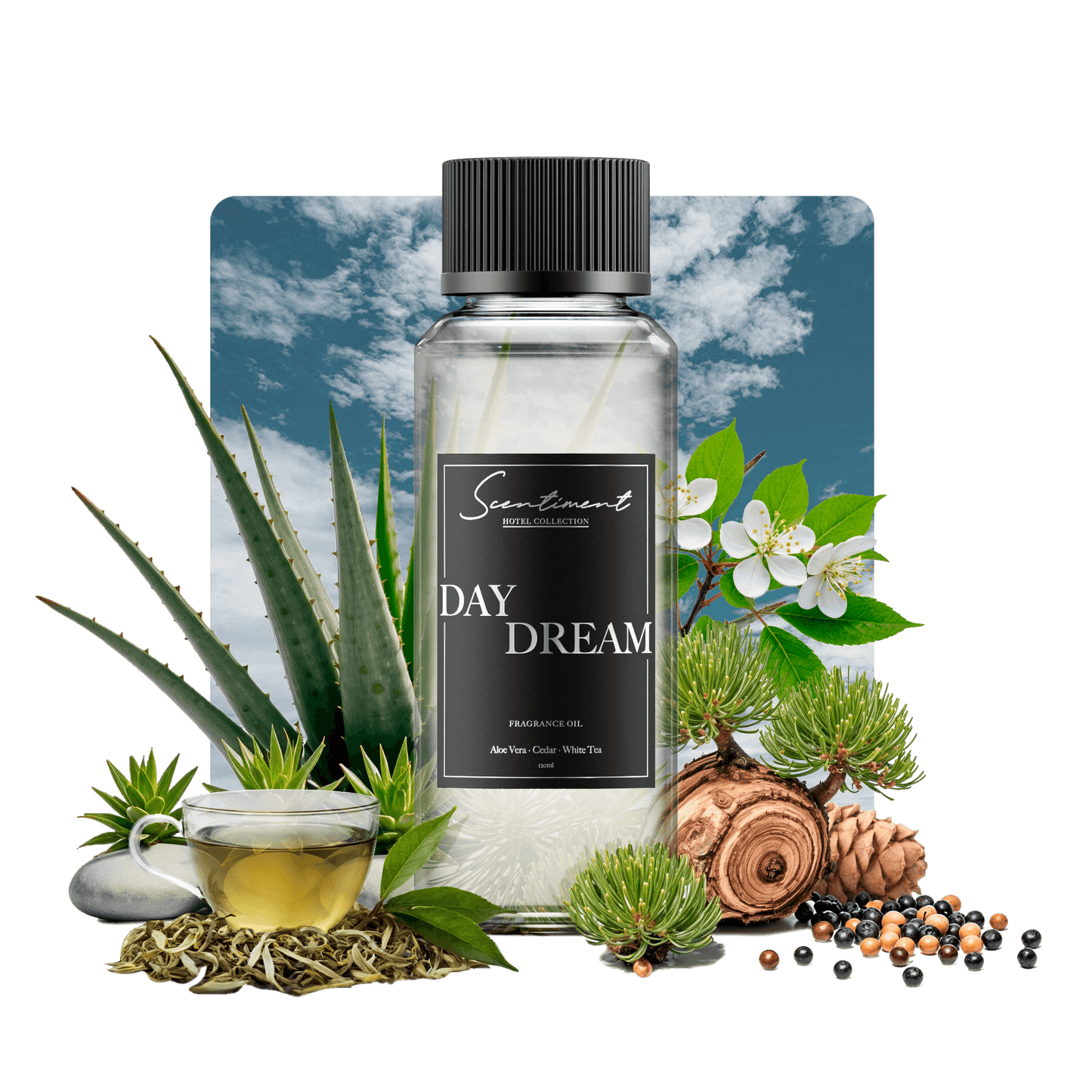 Scentiment - Day Dream White Tea & Aloe 20ml Oil