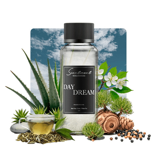 Scentiment - Day Dream White Tea & Aloe 20ml Oil