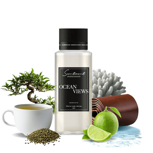 Sentiment Ocean Views 20ml Oil